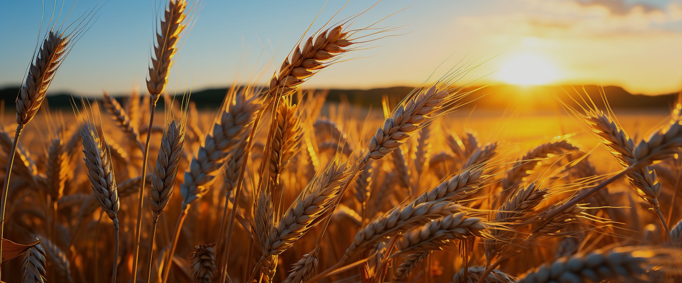 About-us-background-1.jpg__PID:a17df8c5-9fca-4f9f-bb99-526420a275aa